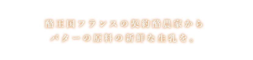 酪王国フランスの契約酪農家からバターの原料の新鮮な生乳を。